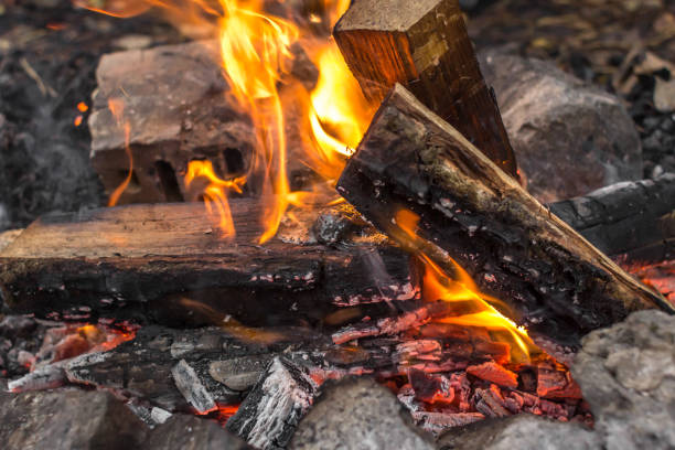 istock Living flames in the fire 1287480961