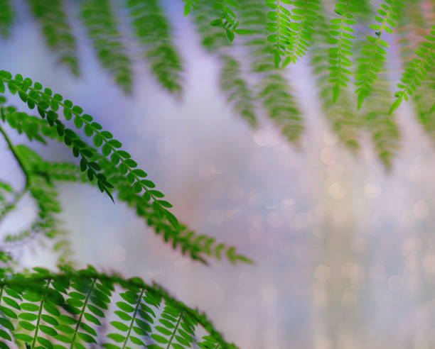 istock Background with green leaves on foreground 1287485175