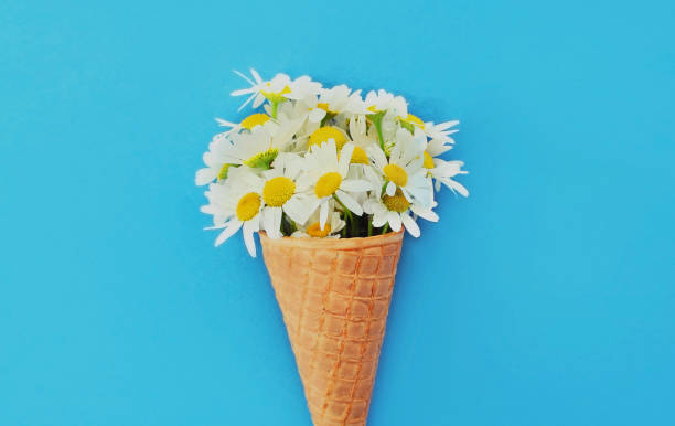 istock Cone with pink flowers as ice cream over a blue background 1287487834