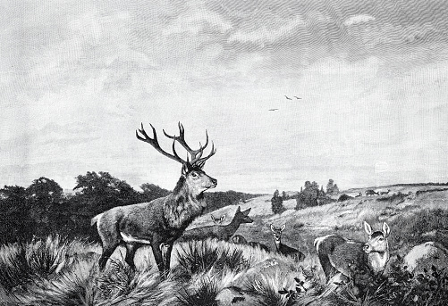 Illustration of 19th century