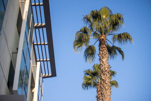 istock West Hollywood, California 1287490449