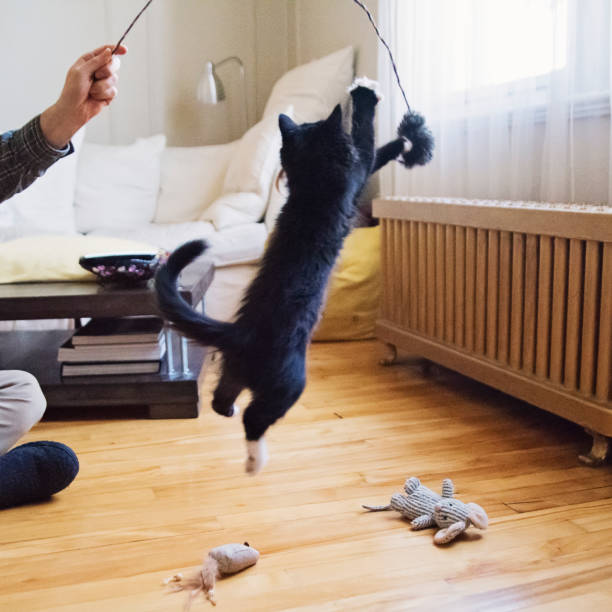 istock Very active 3 months kitten jumping with cat's toys. 1287490478