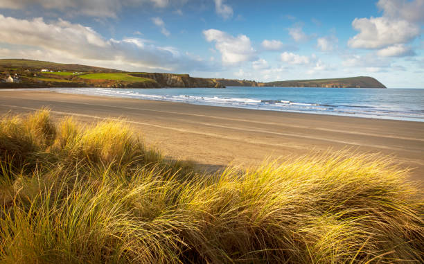 Sand dunes, beach and headland at sunrise in Pembrokeshire, Wales