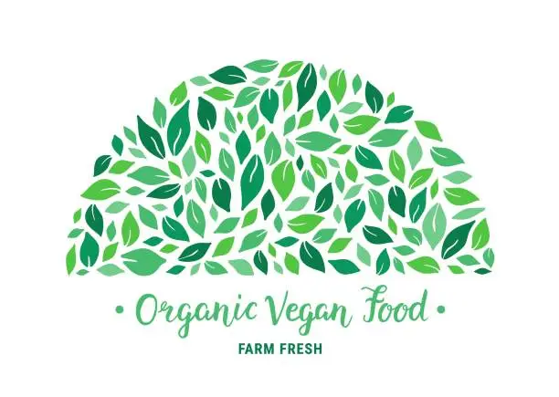 Vector illustration of Green salad leaves semi-round pattern. Organic vegan food hand drawn lettering text inscription