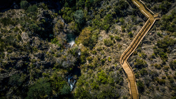 istock Ribeira das Quelhas walkway in Portugal 1287498695