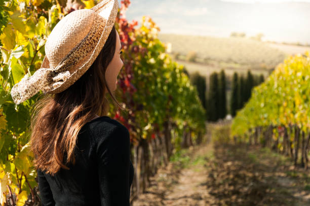 back view of girl in tuscan vineyards at sunset - val d'orcia, tuscany, italy - val dorcia imagens e fotografias de stock