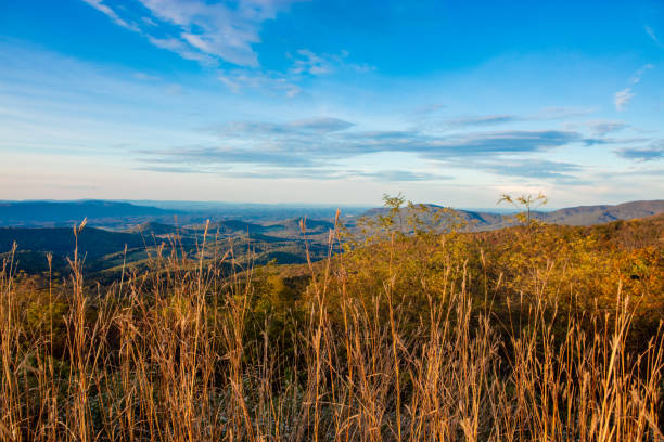 Shenandoah National Park Fall Foliage in Shenandoah, VA, United States
