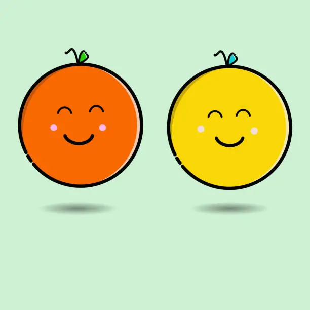 Vector illustration of 2 cute oranges vector design in yellow and orange