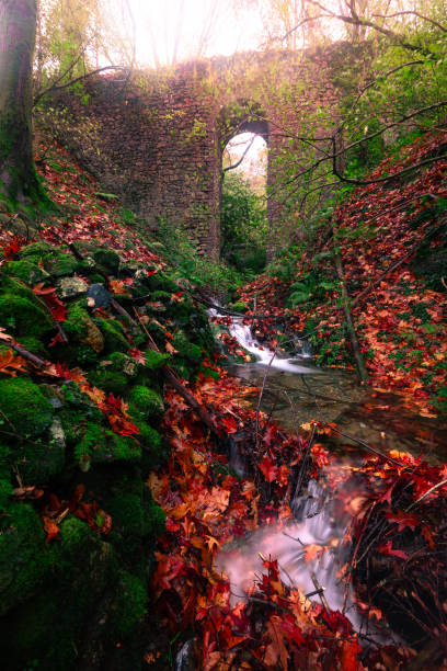 istock Aiako Harriak Natural Park Basque Country 1287507145