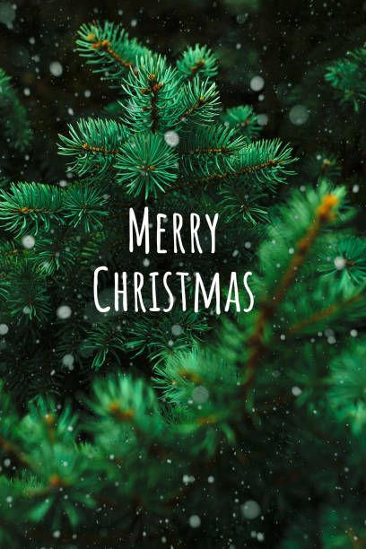 istock Winter background with text Merry Christmas 1287509399