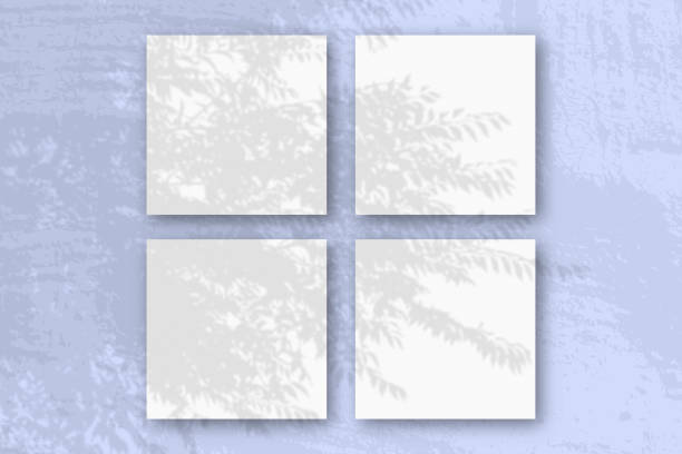 istock Natural light casts shadows from an exotic planton 4 square sheets of white textured paper 1287512508