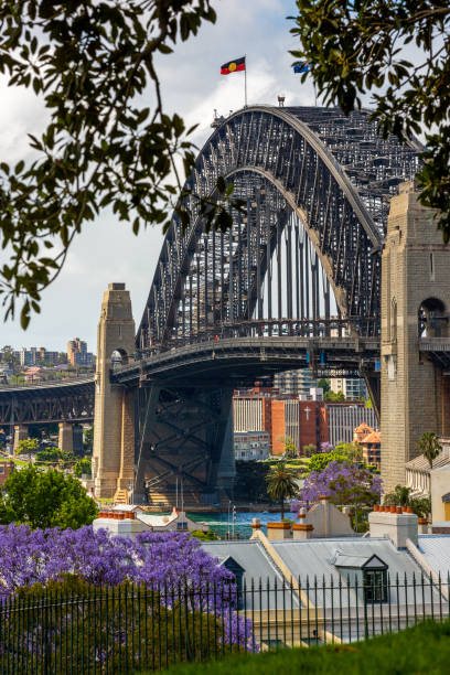 панорамный вид на гавань сиднея. - sydney australia australia sydney harbor skyline стоковые фото и изображения