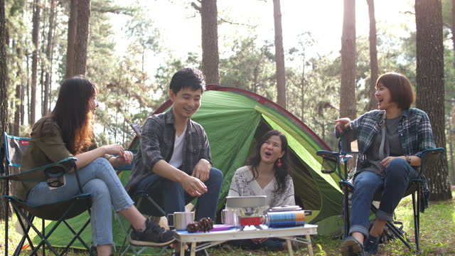 Group of young traveller enjoy for camping at green forest