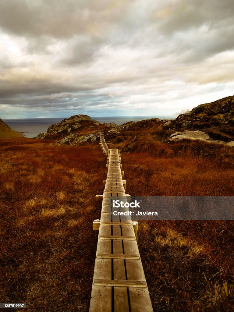 Path The Way Path Way In The Mountain Stock Photo - Download Image Now - Beauty In ...