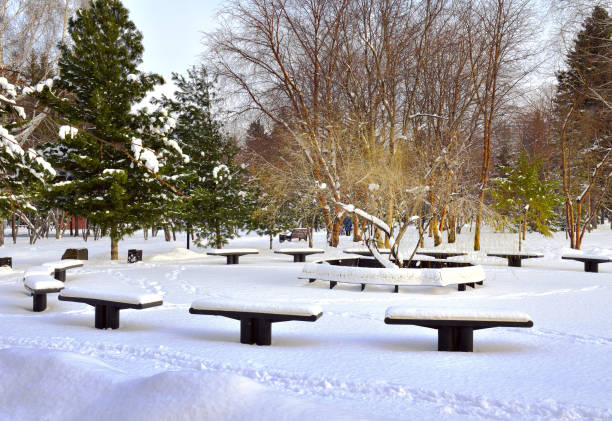 istock Benches in the winter Par 1287524138