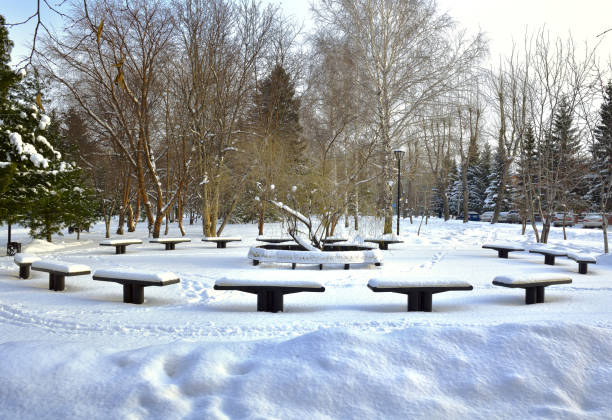 istock Benches in the winter Park 1287524139