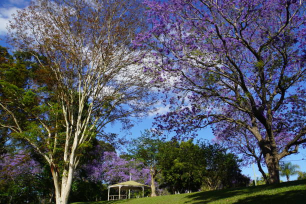 istock Tree-Studded Park with a Rotunda in the Distance 1287526135