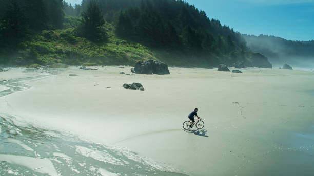 istock Man Riding Bike on Beach - Aerial 1287527103