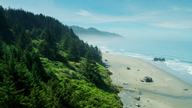 Drone shot of the tranquil Whaleshead Beach on the Oregon Coast, on a hazy morning.