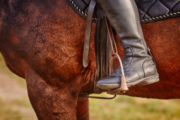 Jockey riding boot, horse saddles and stirrups Jockey riding boot, horse saddles and stirrups. dog and pony show stock pictures, royalty-free photos & images