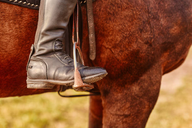 Detailed view of the black boot of the rider with spurs and stirrups Detailed view of the black boot of the rider with spurs and stirrups. dog and pony show stock pictures, royalty-free photos & images