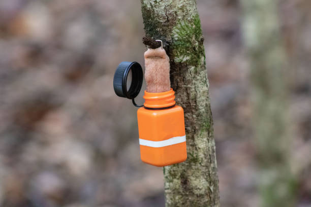Doe Urine Scent Decoy in Forest stock photo
