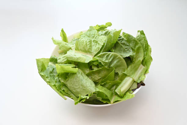 Fresh green salad in a bowl isolated on white background.