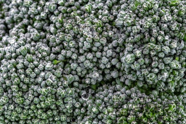 istock Close up raw broccoli green fresh vegetable broccoli. top view. 1287533557