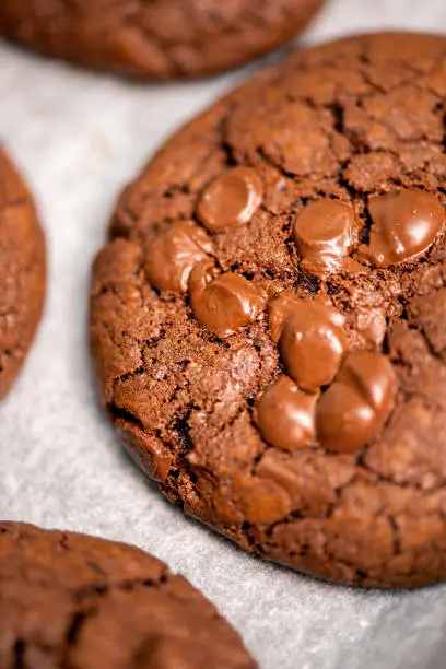 Classic chocolate chip cookies freshly baked, food background.