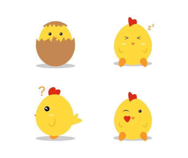 ilustraciones, imágenes clip art, dibujos animados e iconos de stock de polluelos de dibujos animados - chicken young bird animal egg baby chicken