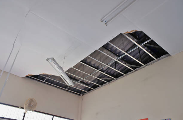 Internal ceiling is damaged, dropped, damaged lamp, white steel frame.