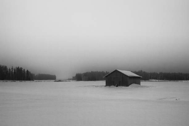 туманное утро на заснеженных полях - winter finland agriculture barn стоковые фото и изображения