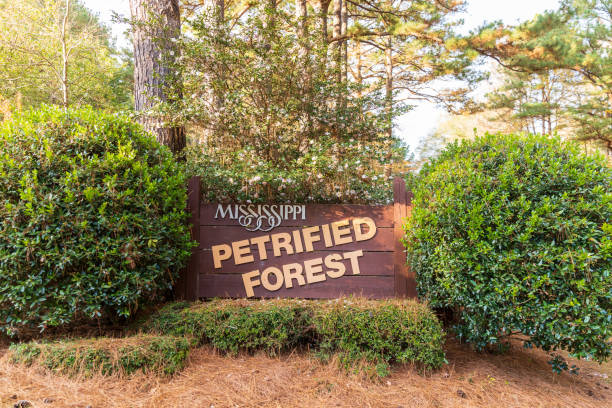 Mississippi Petrified Forest Entrance sign Flora, MS / USA - November 24, 2020: Mississippi Petrified Forest Entrance sign petrified wood stock pictures, royalty-free photos & images
