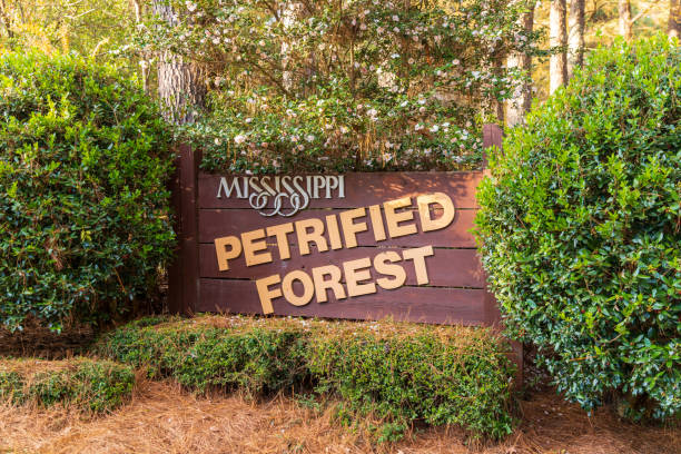 cartello d'ingresso alla foresta pietrificata del mississippi a flora, ms - legno fossile foto e immagini stock