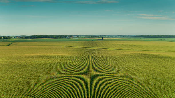 istock Vast Cornfield in Madison County, Ohio - Aerial 1287538684