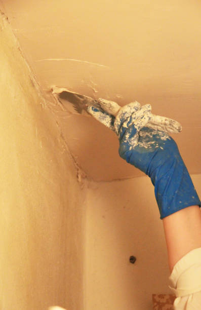 istock A Female plasterer painter repairing a ceiling indoor 1287540457