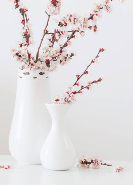 istock cherry flowers in vase with pink candles on white background 1287541578