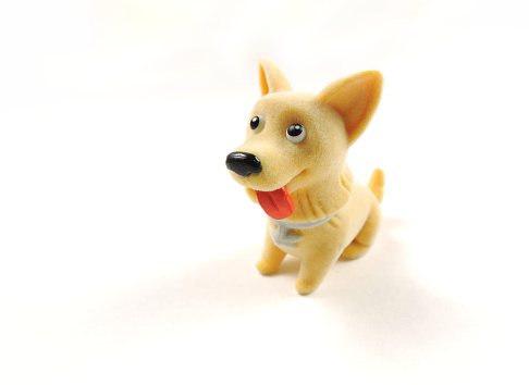 toy dog corgi breed on a white background