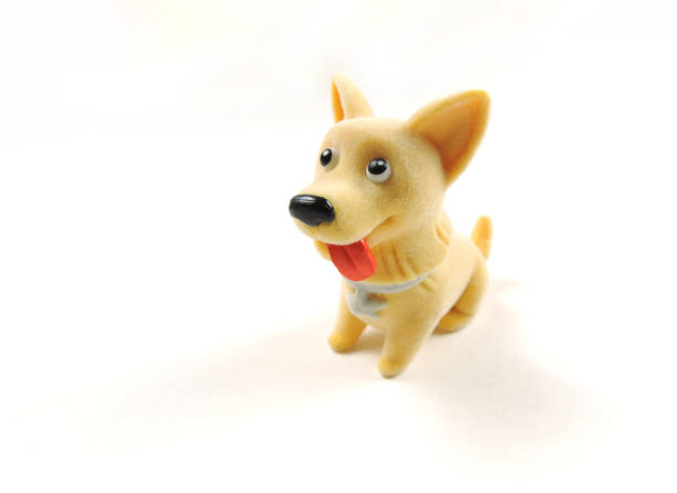 raça corgi cão de brinquedo em um fundo branco - cão miniatura - fotografias e filmes do acervo