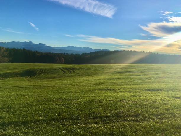 istock Late autumn in Bavaria, meadows, sunset and long shadows. 1287551664