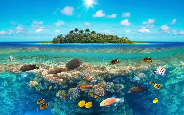 Photo of Beautiful sunny tropical beach on the island paradise in the middle of the sea