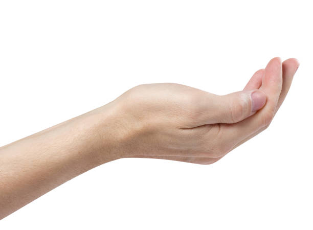 istock Outstretched hand gesture, holding, asking or offering something, on white 1287552994