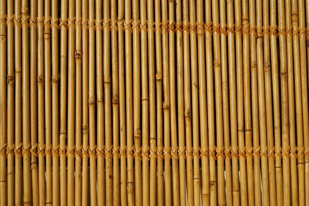Wall of bamboo. The texture of bamboo. The stems are tightly woven.