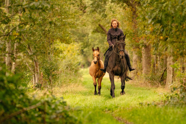istock Young woman riding without saddle on her beautiful brown mare, yellow foal walks next to them, in the autumn forest 1287555340