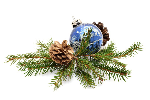 Christmas background with green fir needle tree twigs and blue decorative ball isolated on white