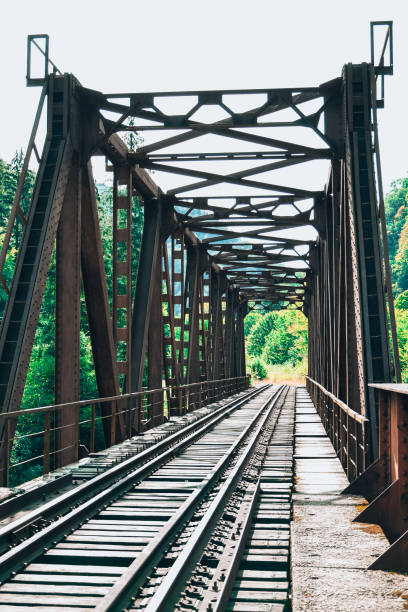 istock Railway bridge. Railroad tunnel with red rusty bars. Abandoned Rail Bridge 1287557861