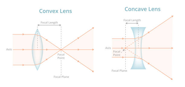 векторная научная иллюстрация. выпуклые или конвергентные линзы, вогнутые или расходяющиеся линзы, световые лучи, проходящие через объект� - symmetry axis stock illustrations