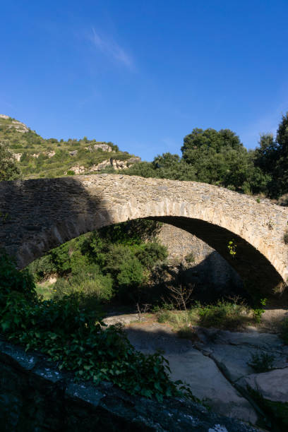 istock Stone bridge in the middle of the forest 1287561657