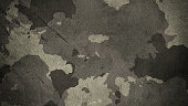 Camouflage cloth texture. Abstract background and texture for design.