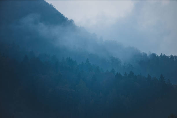 istock Misty forest range covered with clouds on a cloudy day in Slovenia 1287565090